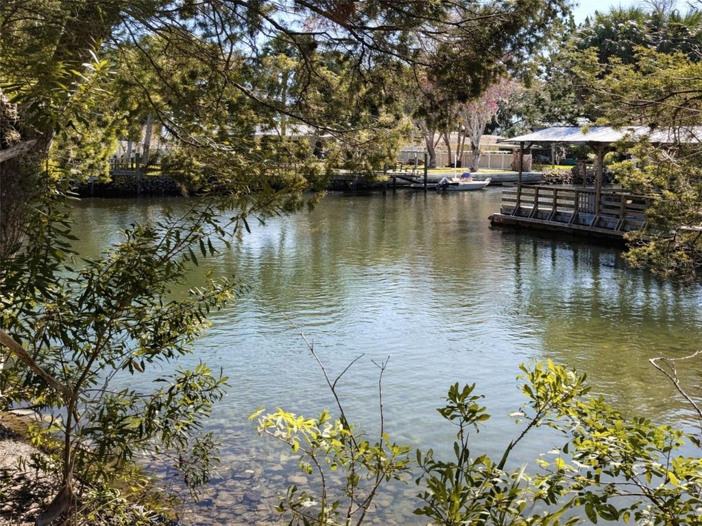 Photo of 10748 W Pine Bark Lane, Crystal River, FL 34429 (MLS # OM719473)