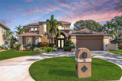 A home in PALM HARBOR