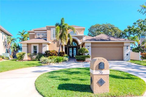 A home in PALM HARBOR