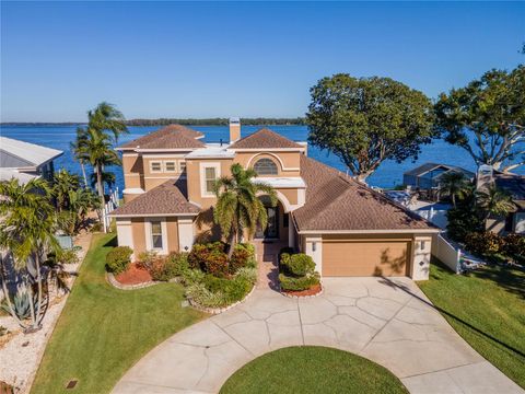 A home in PALM HARBOR