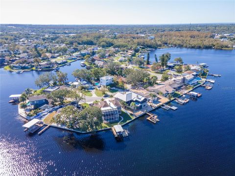 A home in PALM HARBOR