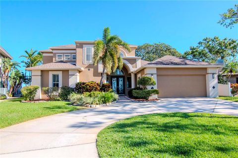 A home in PALM HARBOR