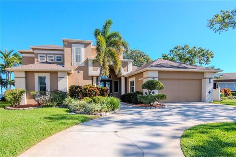 A home in PALM HARBOR