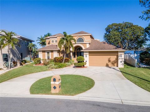 A home in PALM HARBOR