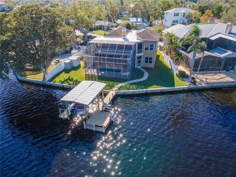 A home in PALM HARBOR