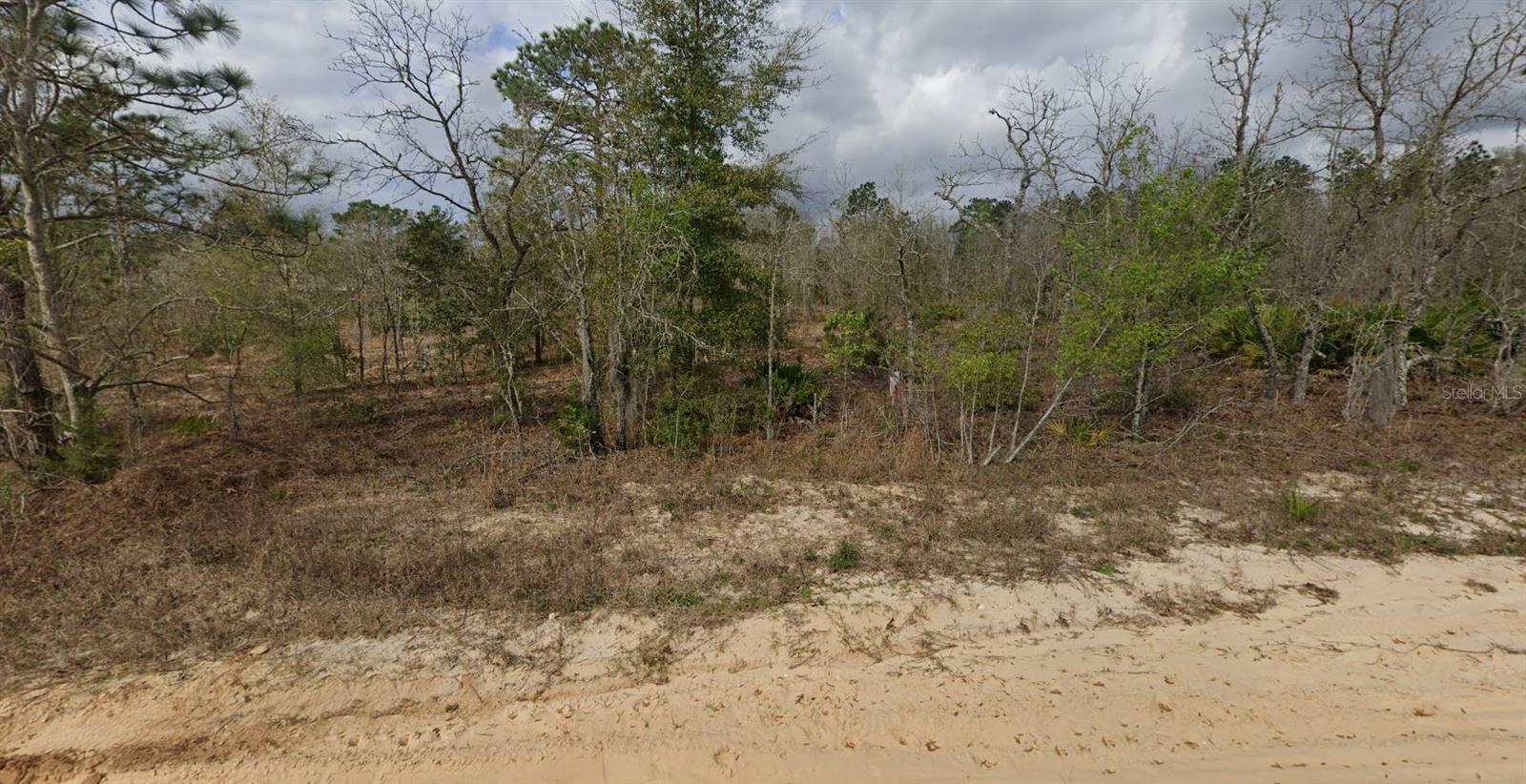 TROUT LAKE VILLAGE - Land