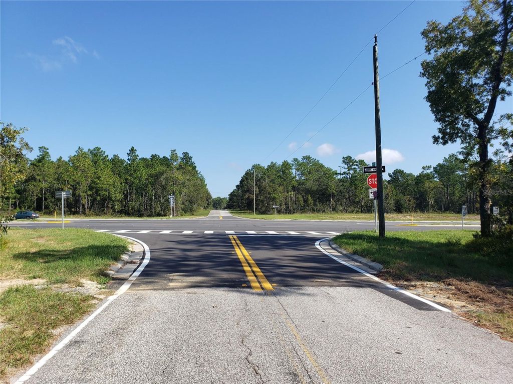 Photo of Tbd State Road 20, Hawthorne, FL 32640 (MLS # OM718224)