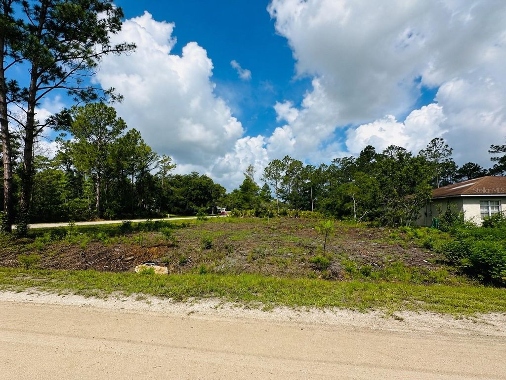 Photo of 2873 Laurel Road, Deland, FL 32724 (MLS # V4949156)