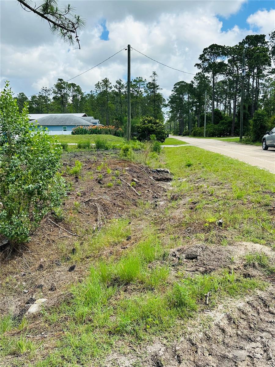 2873 LAUREL ROAD