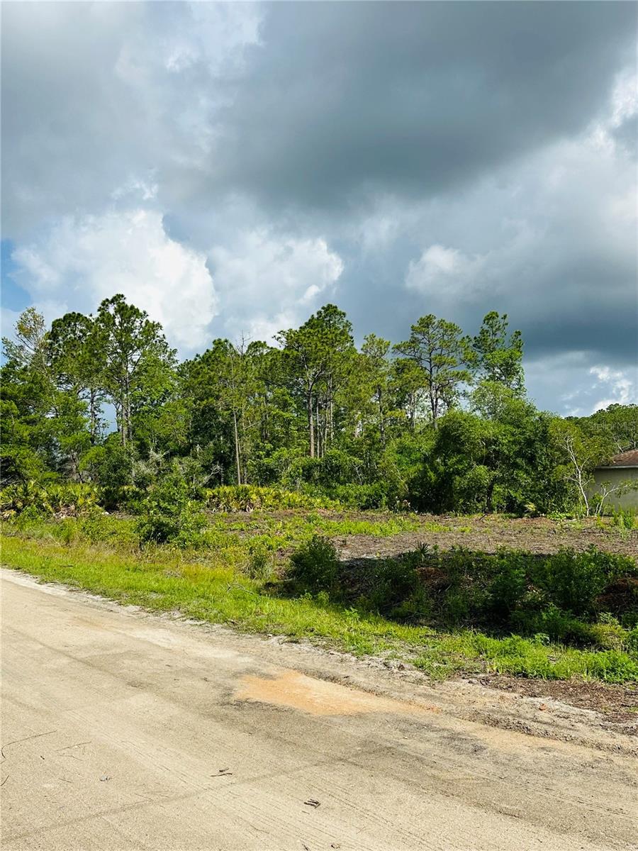 1702 - DAYTONA PARK EST SEC C - Land