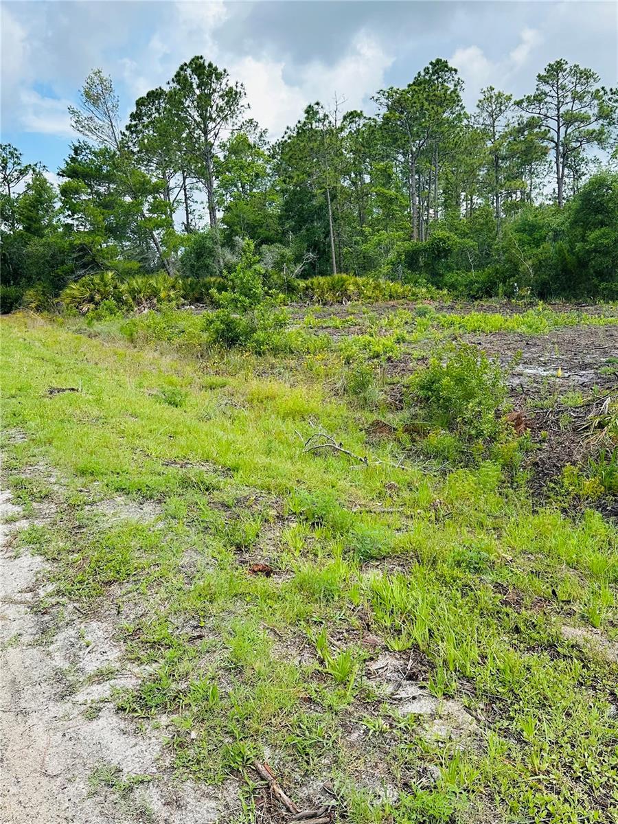 2873 LAUREL ROAD