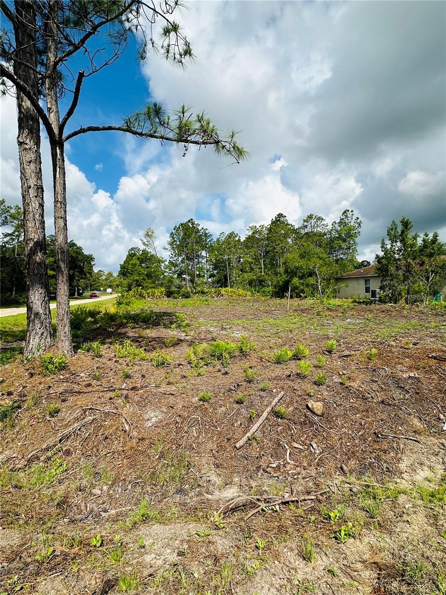 2873 LAUREL ROAD