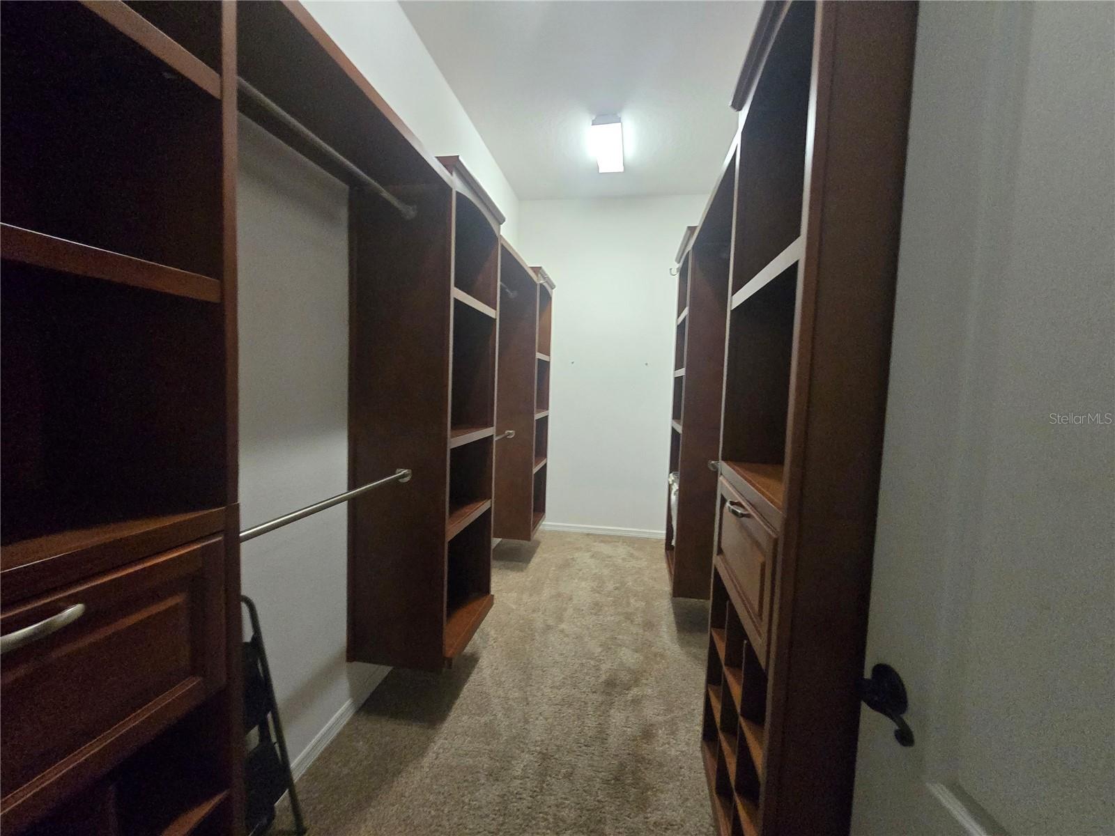 OAKLEAF HAMMOCK - Residential