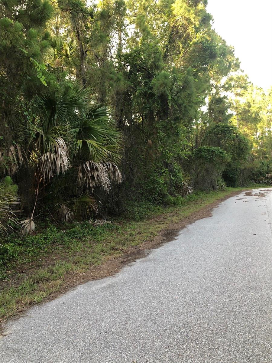 PORT CHARLOTTE SUB 23 - Land