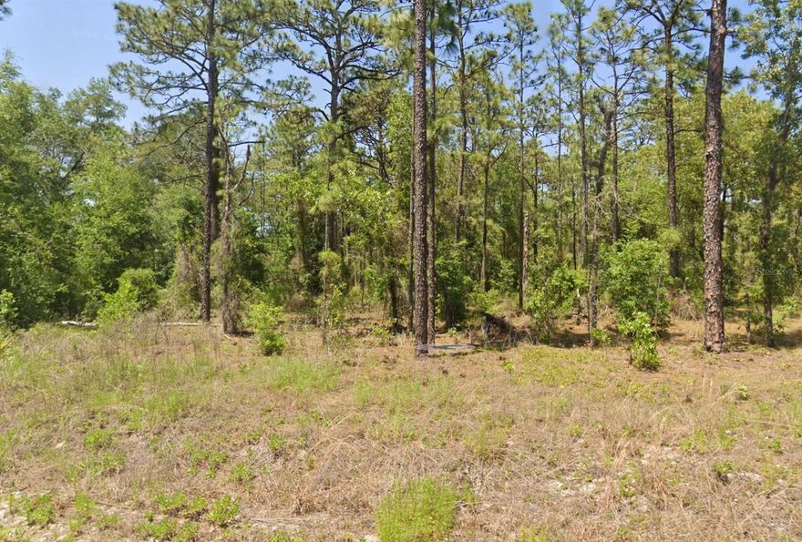 Here’s your chance to own a roomy .24-acre lot in Rainbow Lakes Estates on a paved road. This property offers a great setting for a new home or future investment, with plenty of space and a peaceful, rural backdrop. You’ll enjoy being tucked away from the noise while still having quick access to main roads, everyday essentials, and outdoor activities. Rainbow Springs State Park, local shops, and beautiful nature spots are just a short drive away. It’s a growing area with lots of potential, making this a solid opportunity for anyone looking ahead.