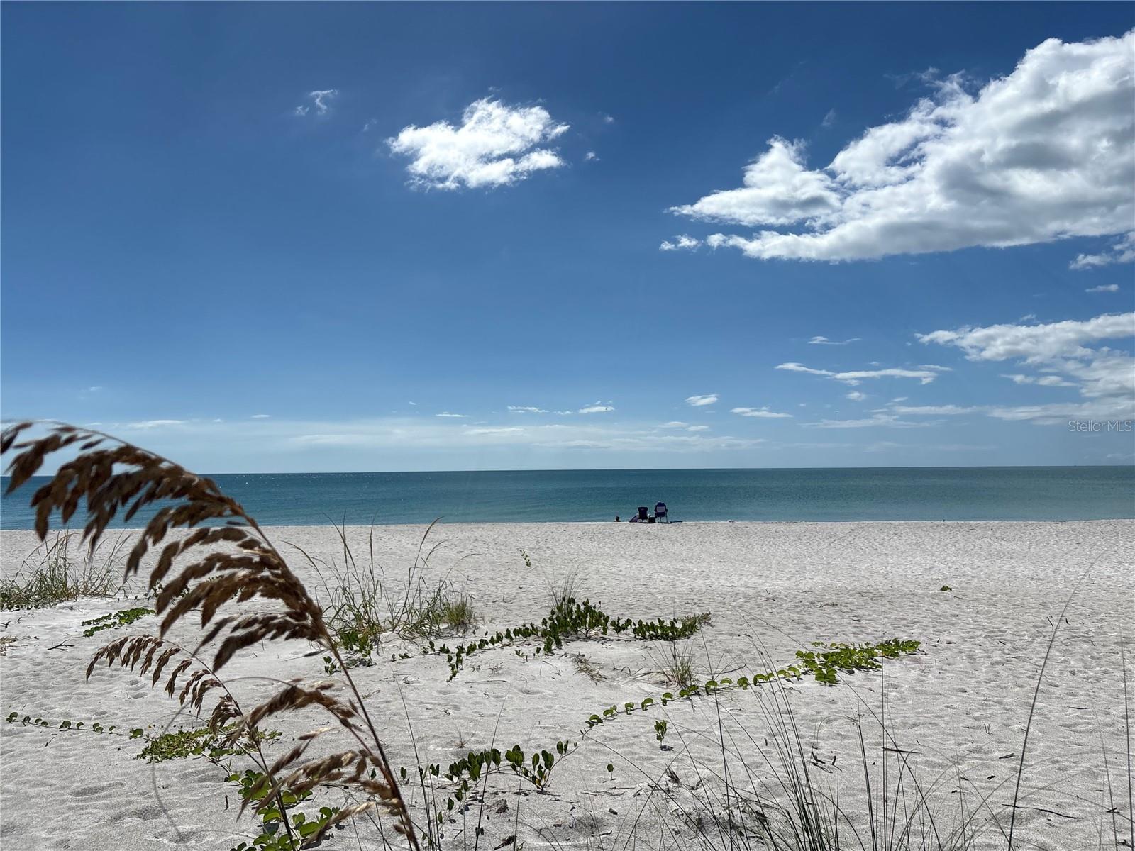 COQUINA BEACH - Residential Lease