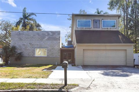 A home in TAMPA