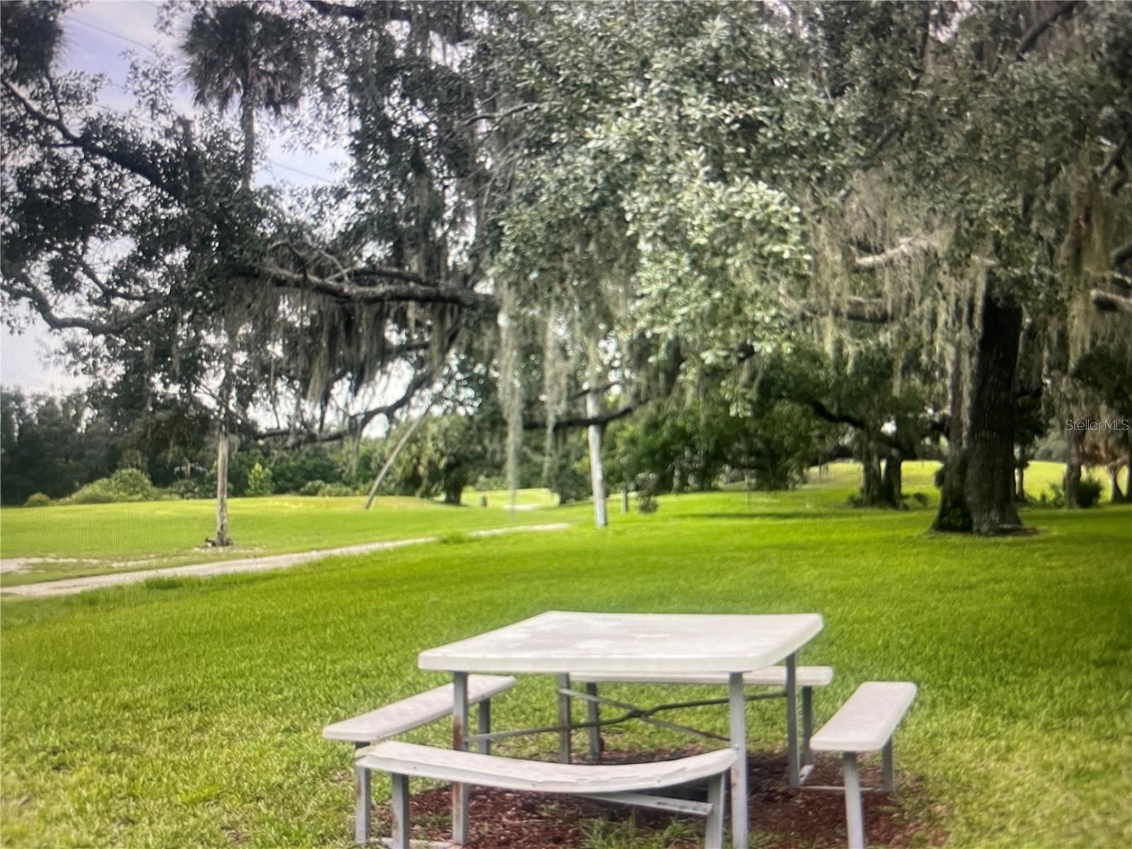 FAIRWAYS/SILVER SPGS SHRS CONDO - Residential