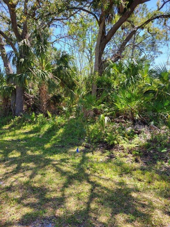 Opportunity knocking. Build your dream home here and watch the Manatees. Spring Creek runs into the Warm Mineral Springs. Great for kayaking or canoeing. Lot needs cleared. Close to Spring training facilities, shopping, banking and restaurants. Per the City of North Port Utilities a Septic and Well would be required.