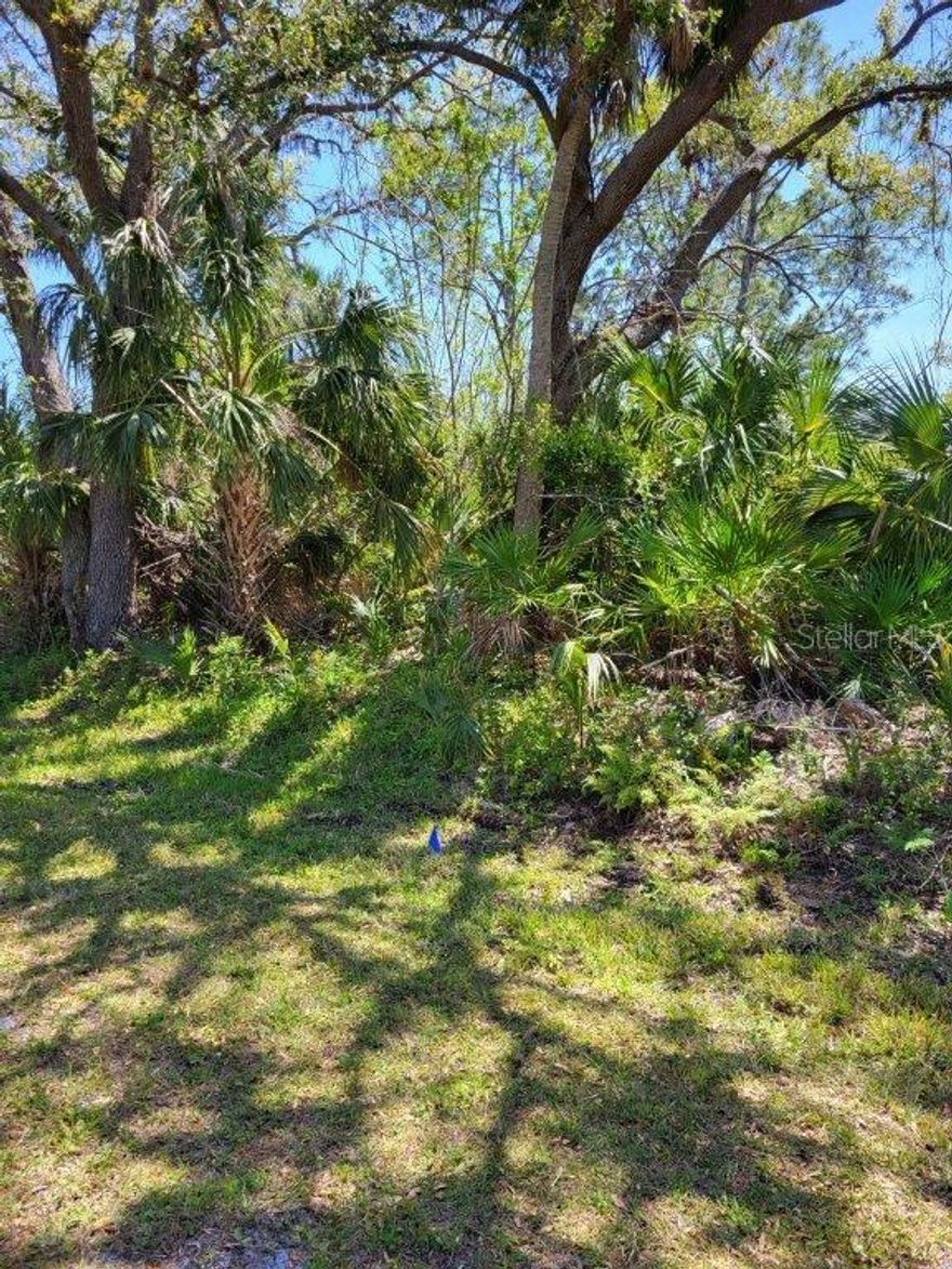 Opportunity knocking. Build your dream home here and watch the Manatees. Spring Creek runs into the Warm Mineral Springs. Great for kayaking or canoeing. Lot needs cleared. Close to Spring training facilities, shopping, banking and restaurants. Per the City of North Port Utilities a Septic and Well would be required.