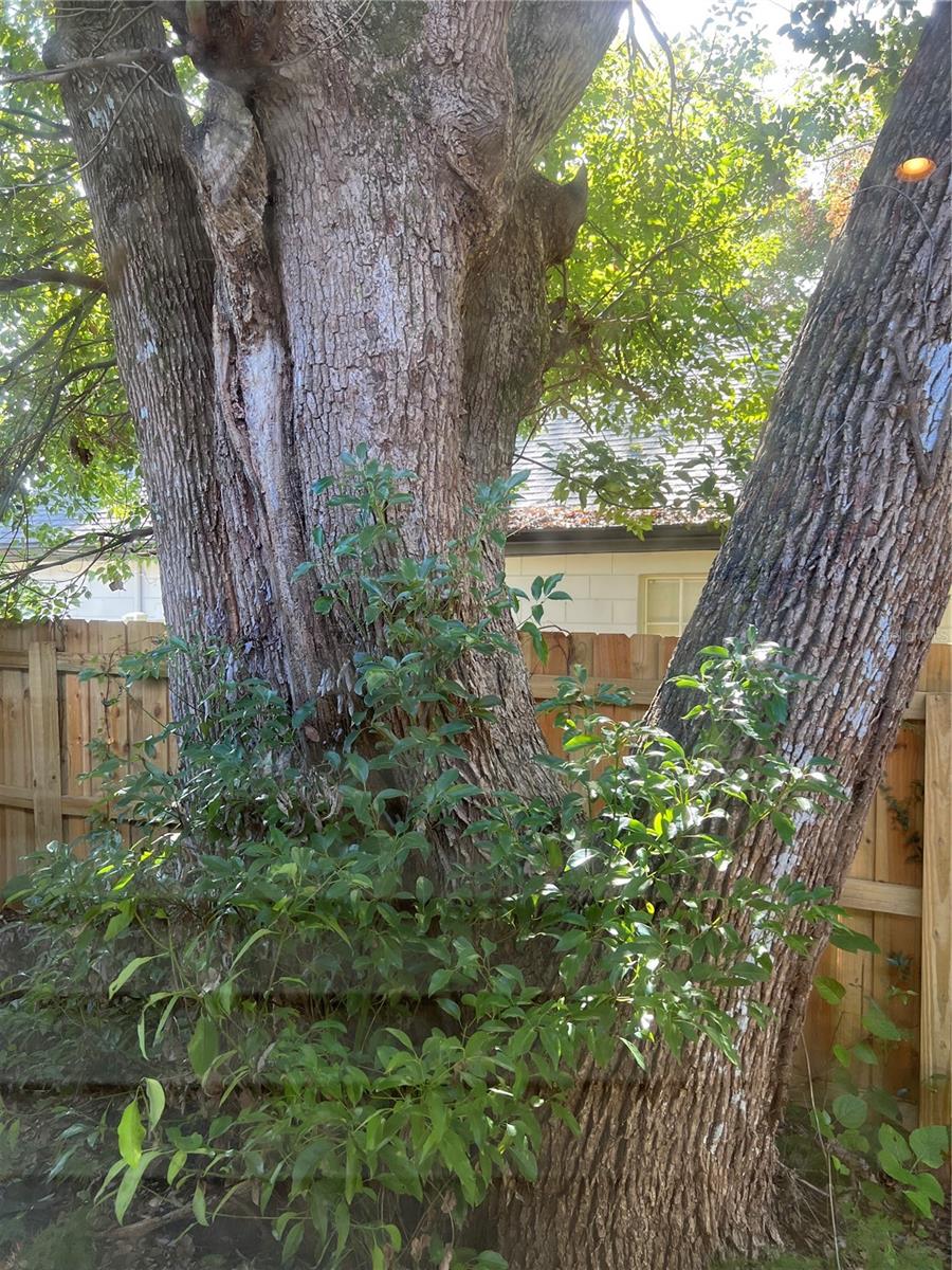 ADIRONDACK HEIGHTS - Residential Lease