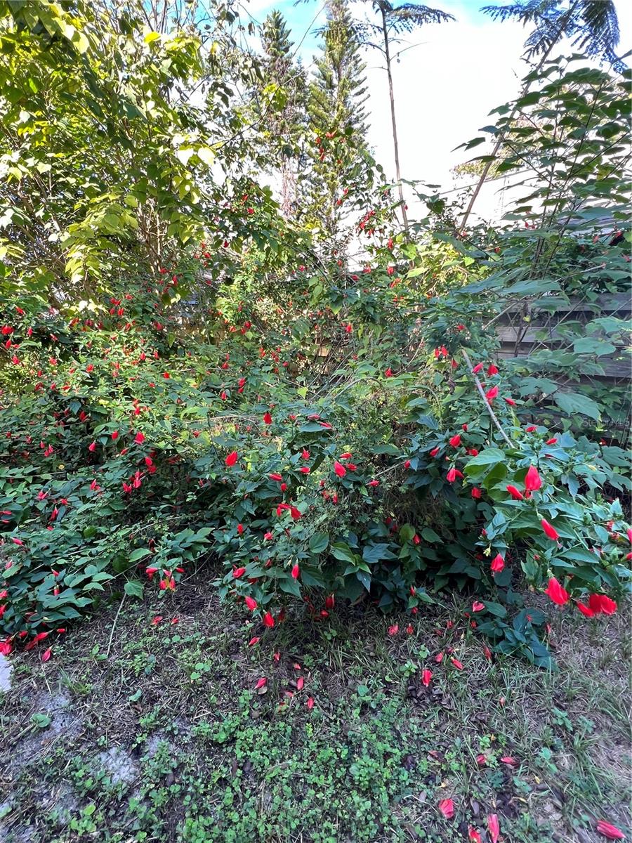 ADIRONDACK HEIGHTS - Residential Lease