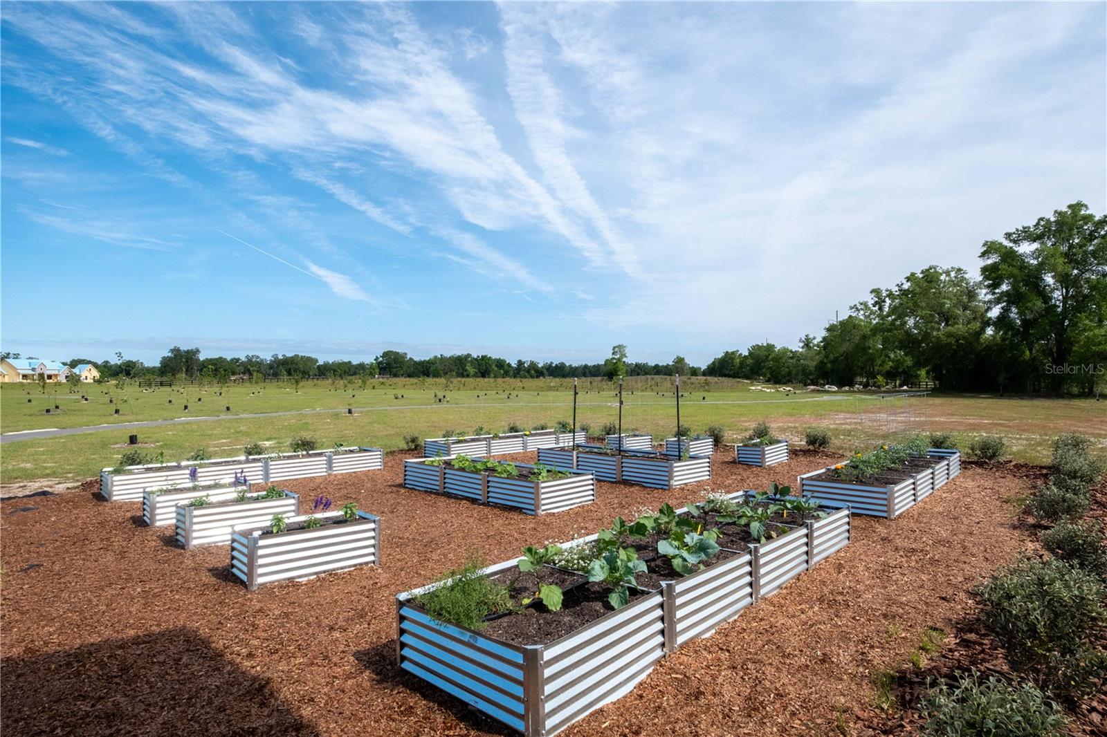 FLINT ROCK AGRIHOOD - Land