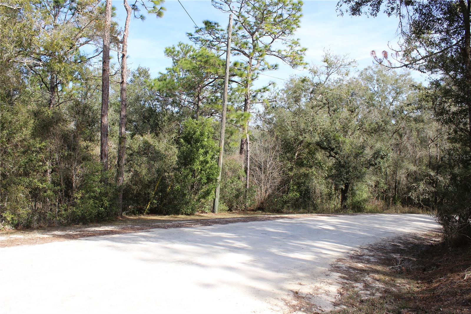 COUNTRY MANOR - Land