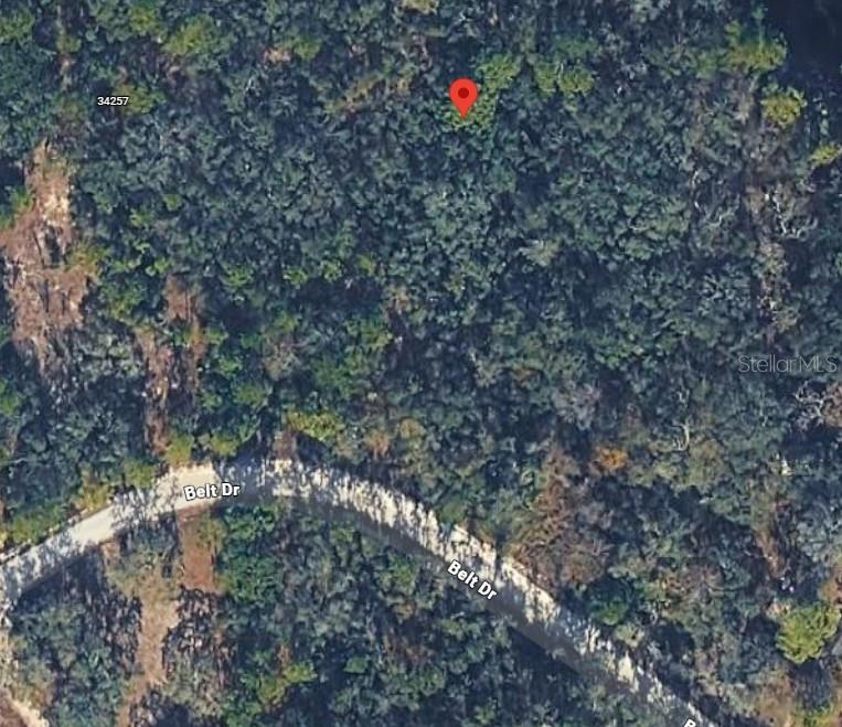 COUNTRY MANOR - Land