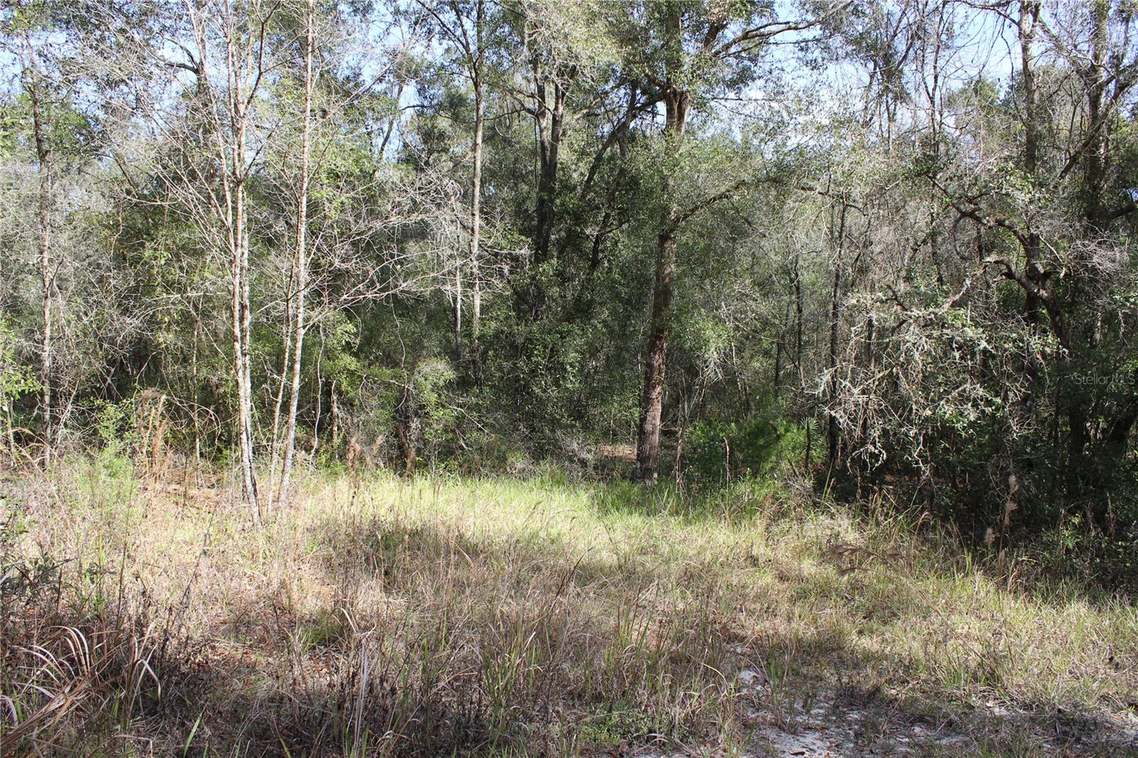 COUNTRY MANOR - Land