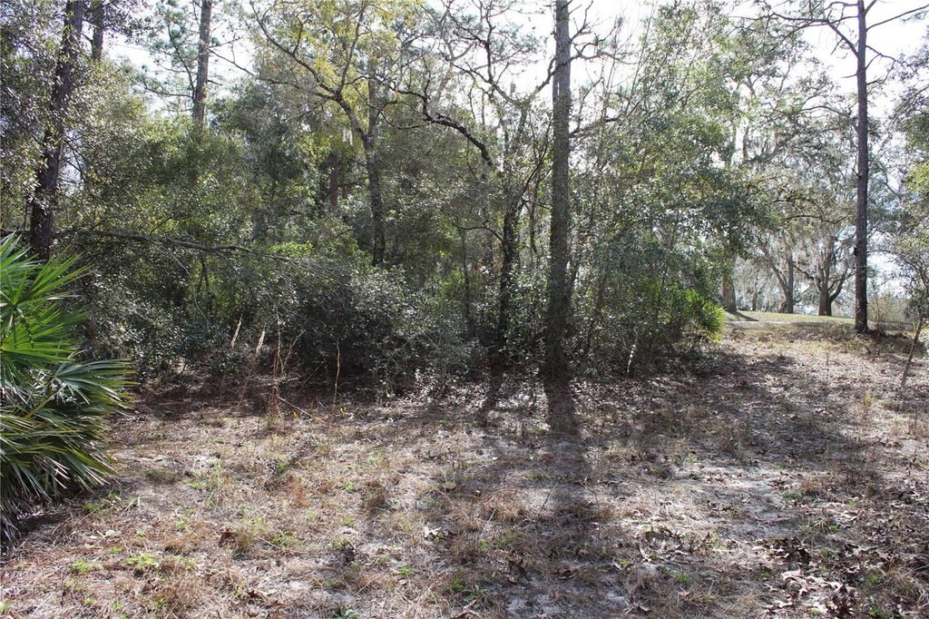 Photo of 34273 Belt Drive, Dade City, FL 33523 (MLS # W7881851)