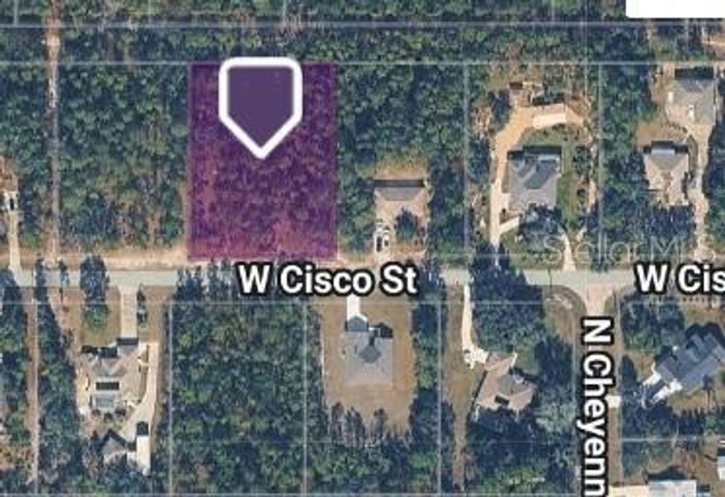 Photo of 5593 W Cisco Street, Beverly Hills, FL 34465 (MLS # A4698656)