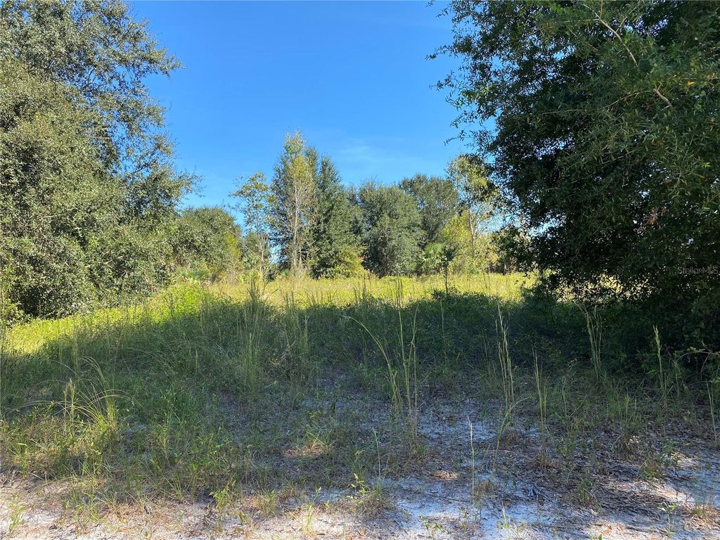 Photo of Xxxx NE 3rd Ct, Citra, FL 32113 (MLS # OM712112)