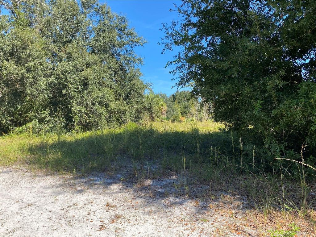 Photo of Xxxx NE 3rd Ct, Citra, FL 32113 (MLS # OM712112)