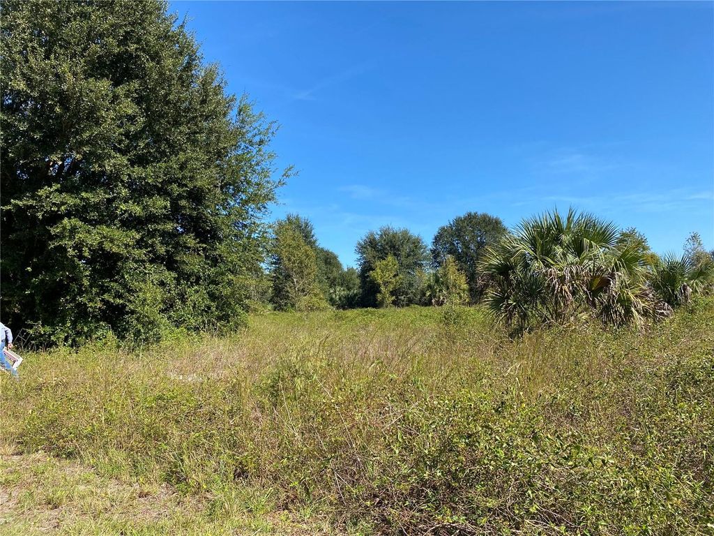 Photo of Xxxx NE 3rd Ct, Citra, FL 32113 (MLS # OM712112)