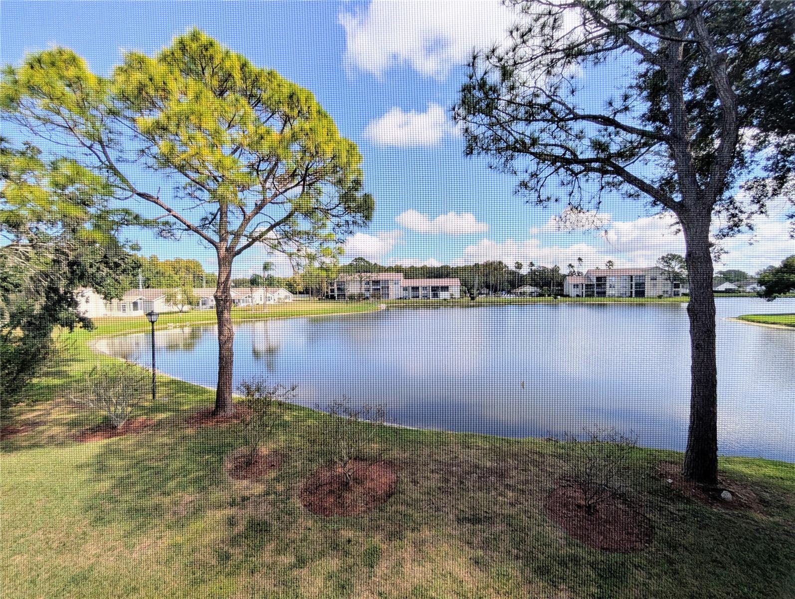 MILLPOND LAKES CONDO - Residential