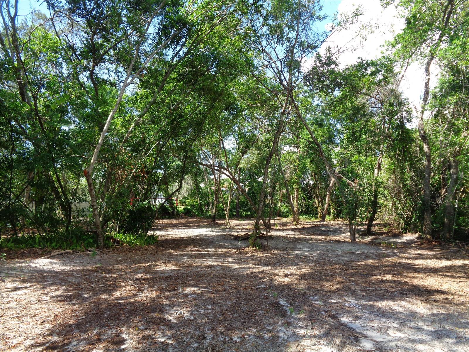 8007 CHAUCER DRIVE