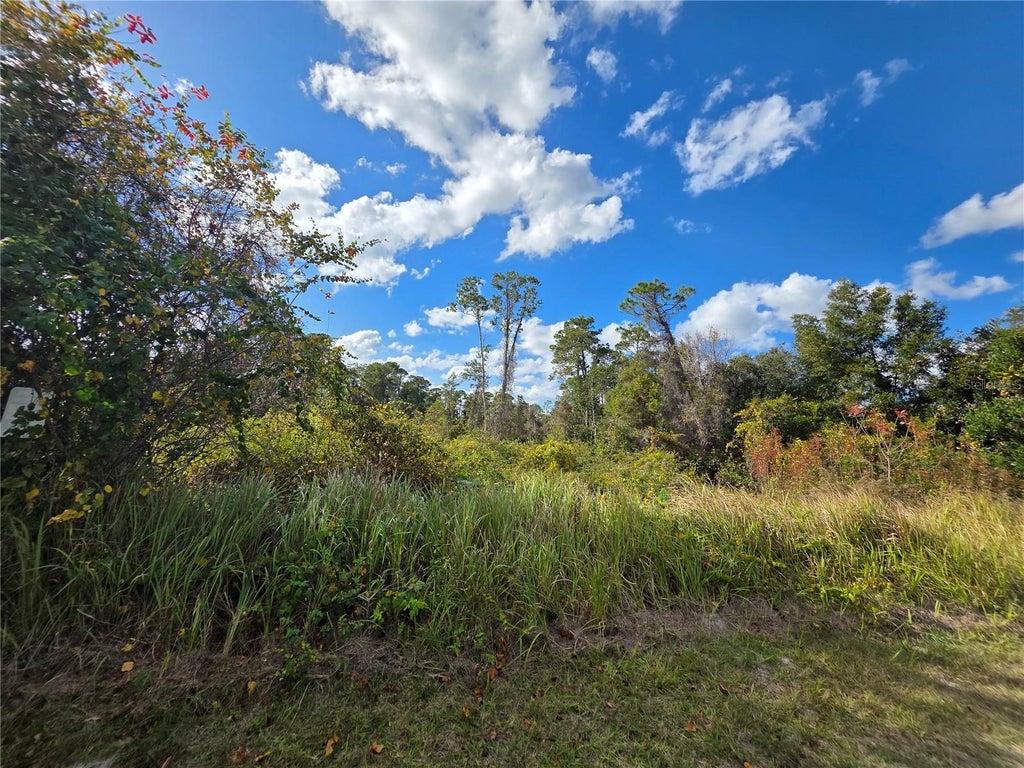 Photo of 520 W Kingway Drive, Deltona, FL 32725 (MLS # O6441318)
