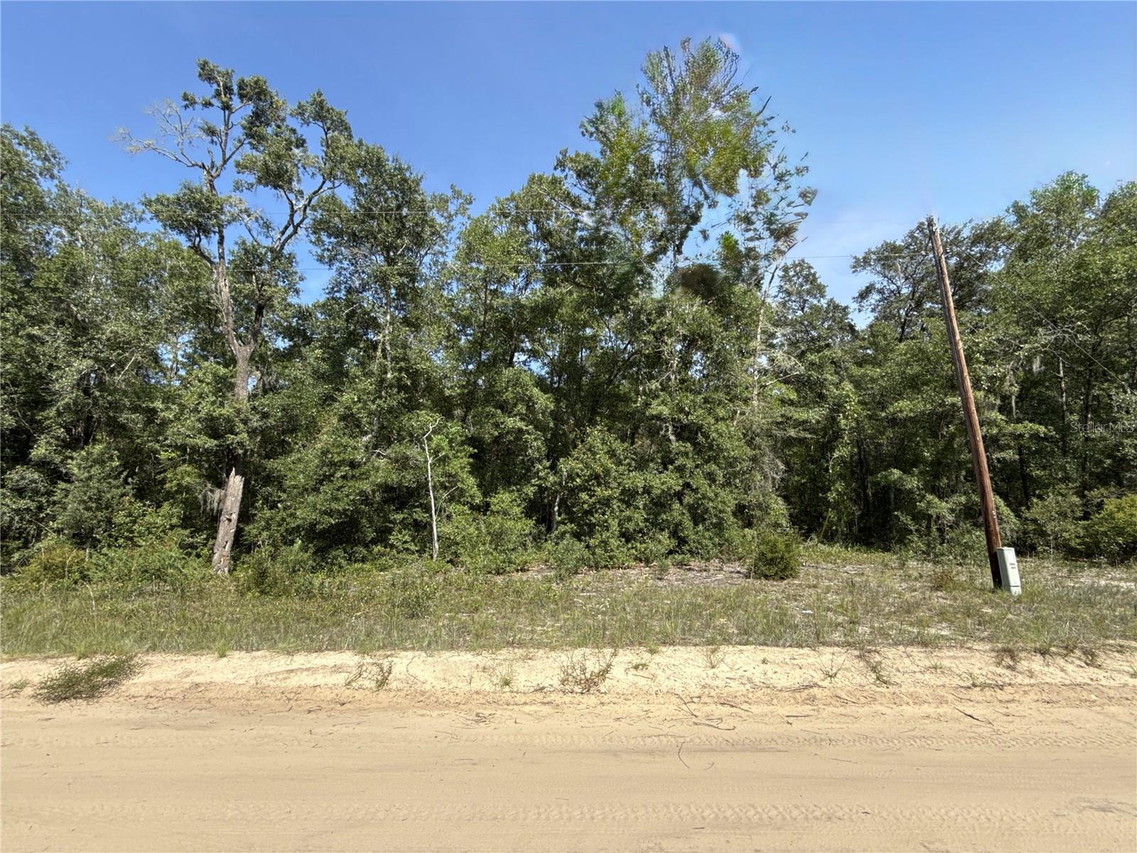 Vacant Land – Interlachen, FL - Putnam County Parcel ID: 24-09-24-4075-0490-0100 Zoning: R-2 (Single Family and Mobile Home permitted) Great opportunity to own residential land in Interlachen, Florida! This parcel is located just 300 ft from a paved road for easy access. For directions, you may use 120 Shaw St as a reference point. R-2 zoning allows single-family homes or mobile homes. Less than 2 miles from Lake Grandin – with public access for you to enjoy fishing, boating, and outdoor recreation. Whether you’re looking to build, invest, or hold, this property offers excellent potential in a growing area of Putnam County.