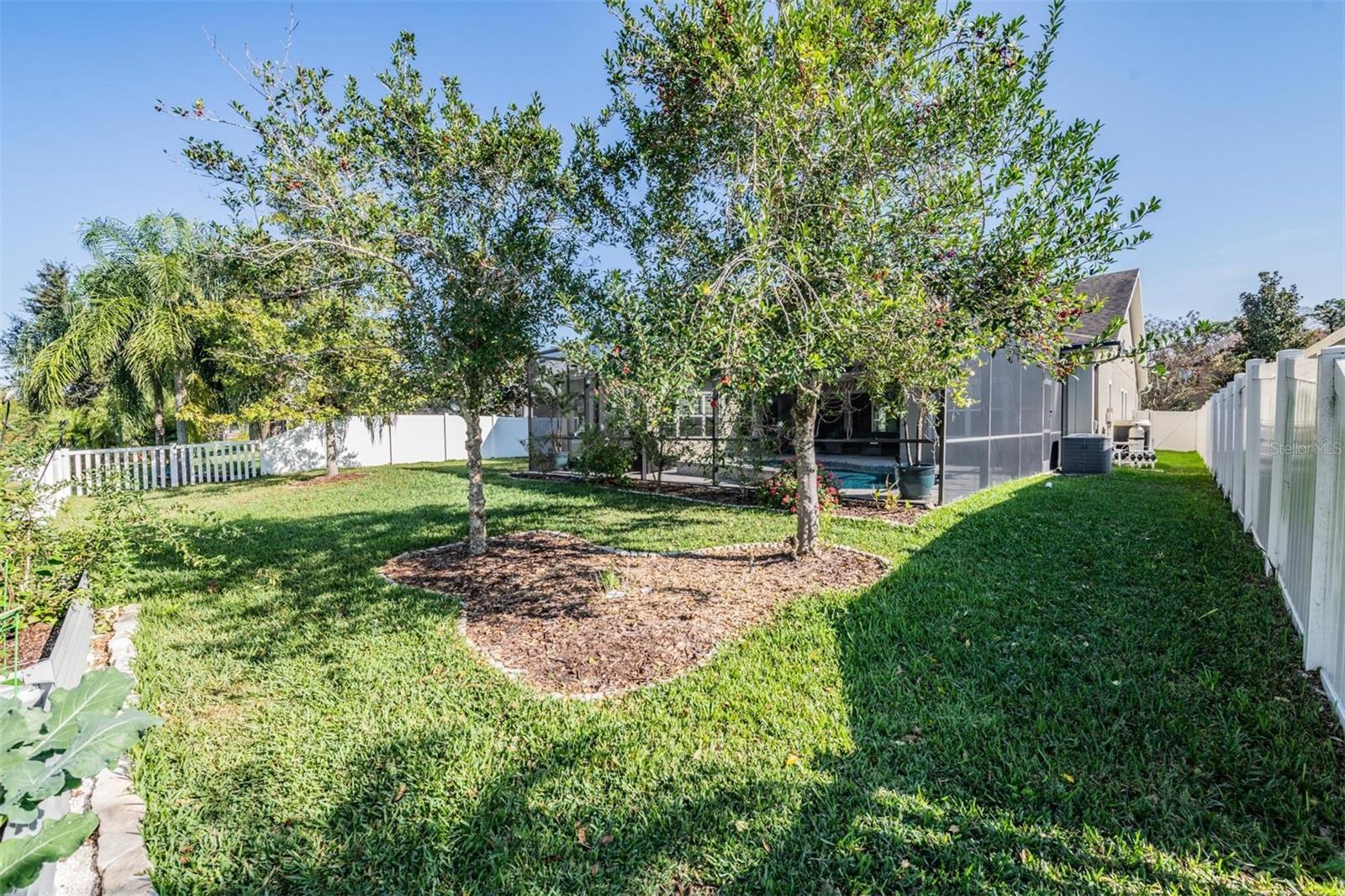 LAKESHORE RANCH PH I - Residential