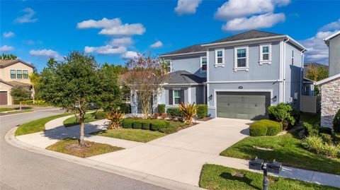 18233 LEAFMORE STREET LUTZ FL 33548