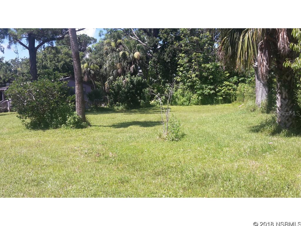 Inwood New Smyrna - Land