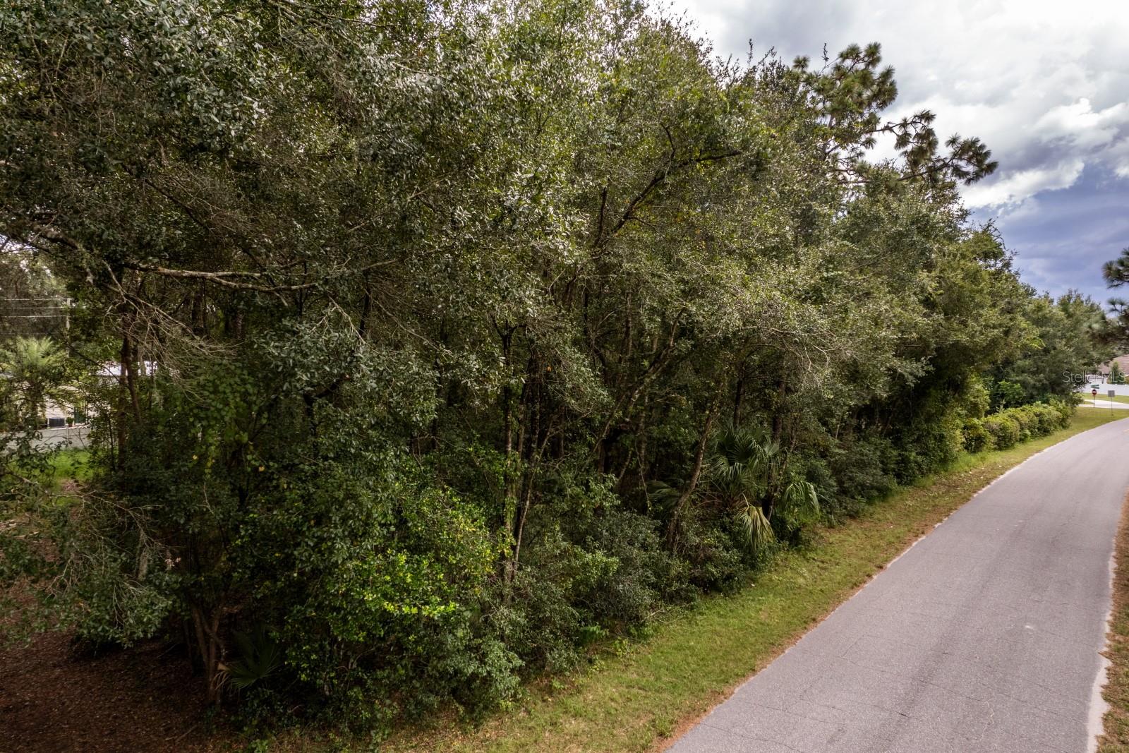 INTERLACHEN DRIVE