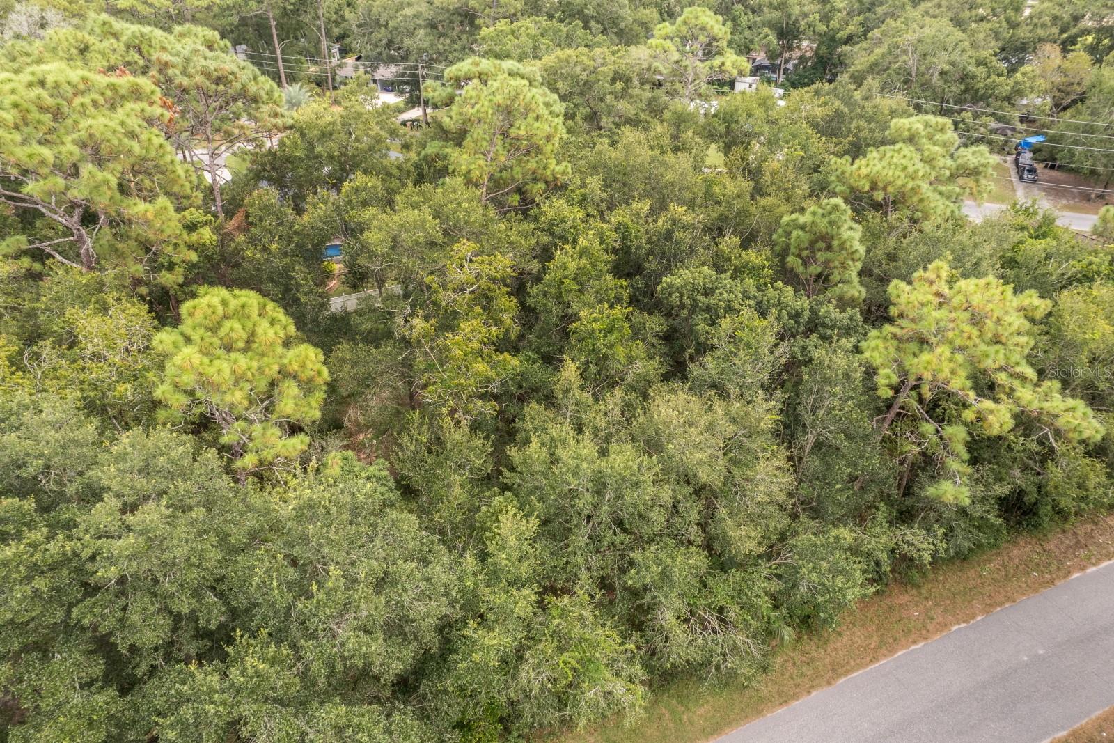 INTERLACHEN DRIVE