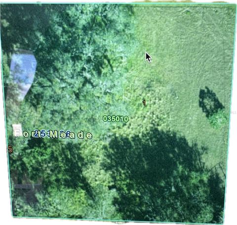 722 9TH STREET NE FORT MEADE FL 33841