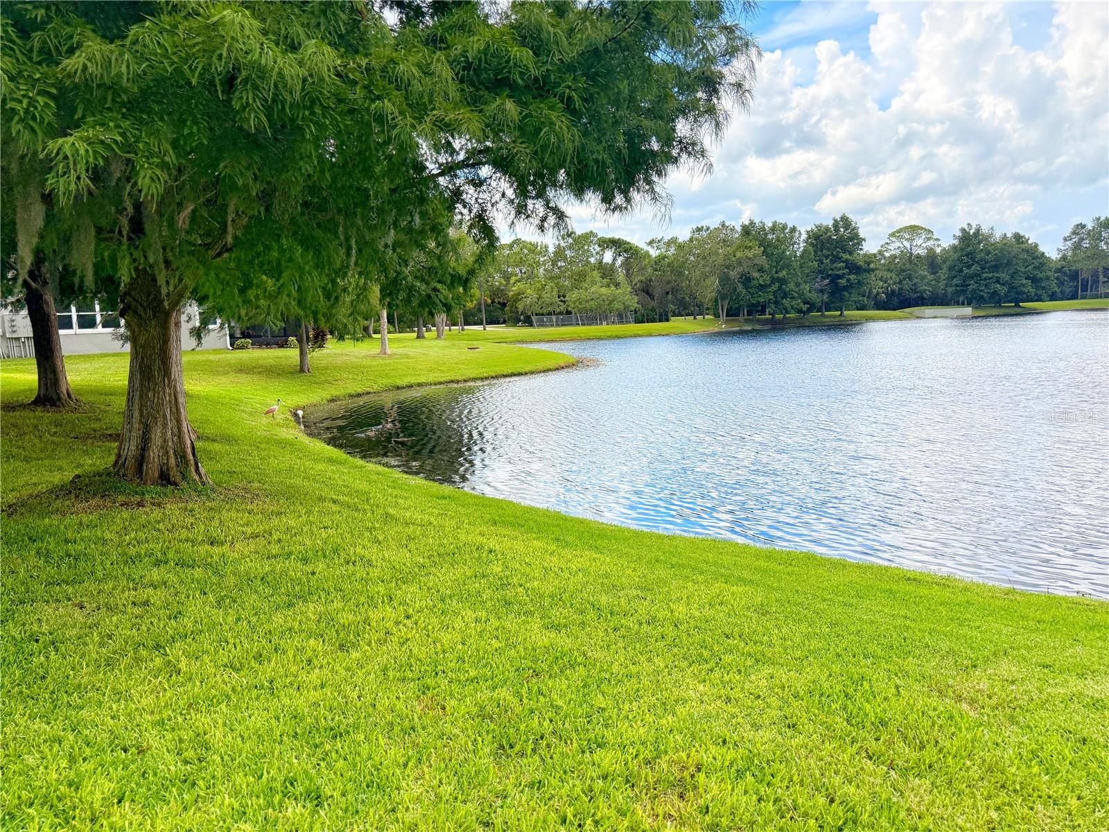 LANDINGS AT SUGAR MILL - Residential