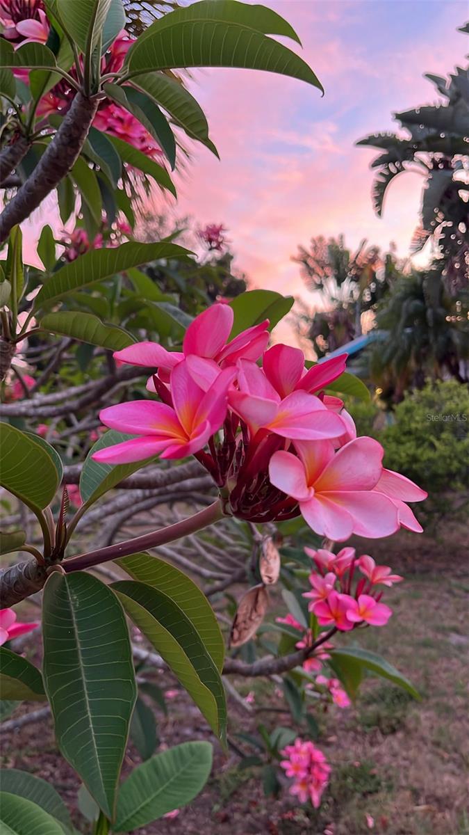 SOUTH GATE - Residential