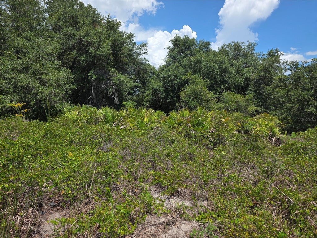 Photo of 1297 Sulstone Drive, Punta Gorda, FL 33983 (MLS # C7528801)