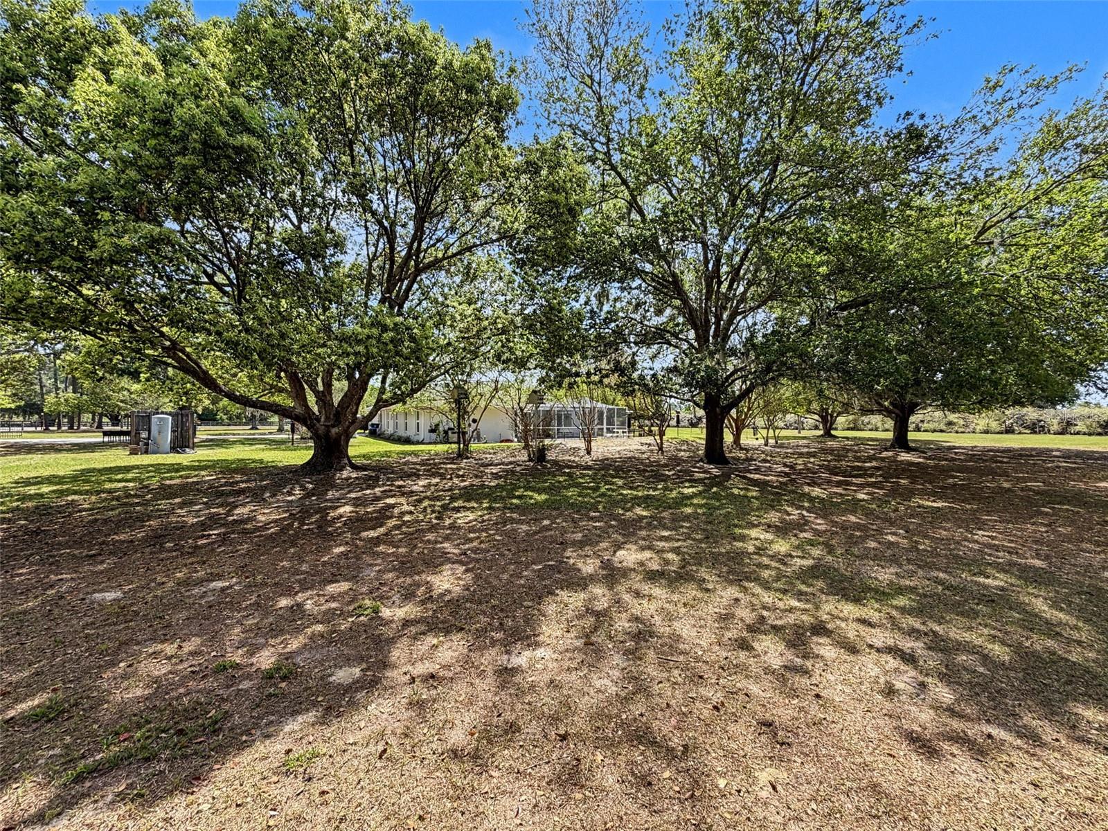 ACREAGE - Residential