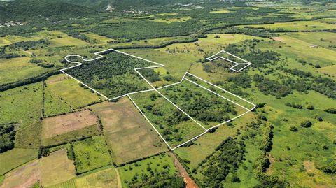 PR-2 KM 162 BO. BENAVENTE HORMIGUEROS  00660